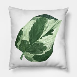 Pothos Pearl and Jade Leaf Pillow