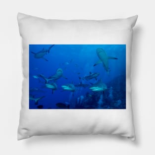 Grey Reef Sharks Great Barrier Reef Australia Pillow