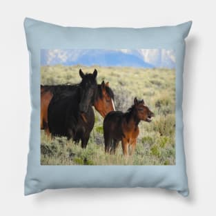 Wild horses, mustangs, wildlife, gifts Pillow