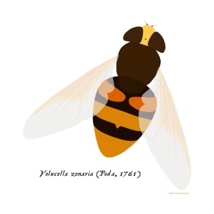 Hoverfly Volucella zonaria T-Shirt