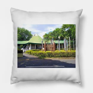 water, park, people, green, travel, wood, nature, view, brown, philippines, wildlife, asia, zoo, lagoon, attraction Pillow