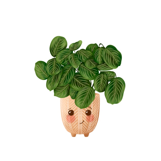 Cute Plant Illustration, Lemon Lime Prayer Plant - Maranta by gusstvaraonica