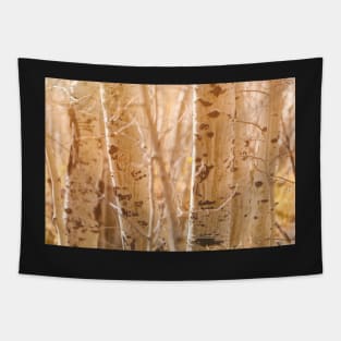 Aspens Tapestry