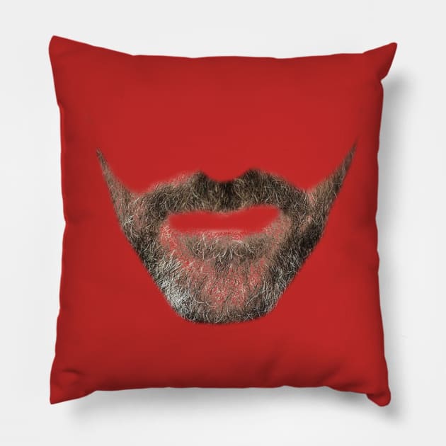 Beard Pillow by aliensareattackingme