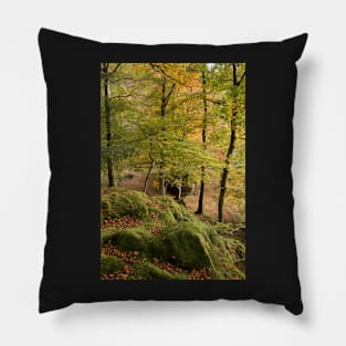 Brathay Woods #1 Pillow