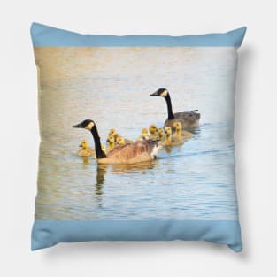 Family Afloat Canada Geese & Goslings No.2 Pillow