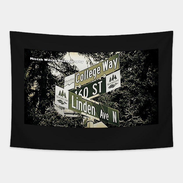 Linden Avenue North, 160th Street, & College Way, Shoreline, WA by MWP Tapestry by MistahWilson