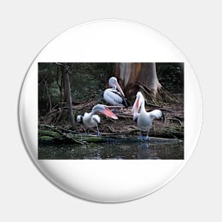 Pelican Chat Pin