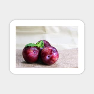 Two plums Magnet