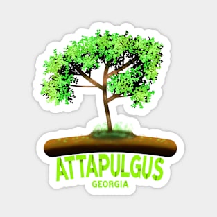 Attapulgus Georgia Magnet