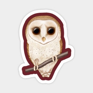 Big-Eyed Barn Owl Magnet