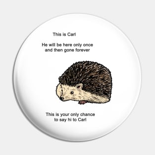 Carl The Hedgehog Meme Pin