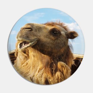 Portrait of Bactrian Camel Pin