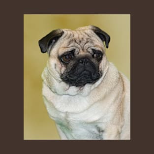 Pug Dog (colour) T-Shirt