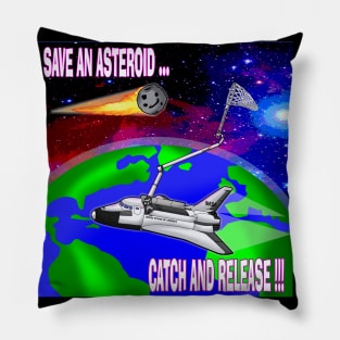 Save An Asteroid Pillow