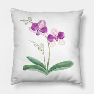 purple orchid watercolor Pillow