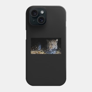 Ol` Blue Eyes Phone Case