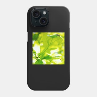 Oak Leaves in Sunlight Phone Case