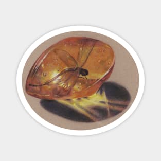 Dragonfly in Amber Magnet