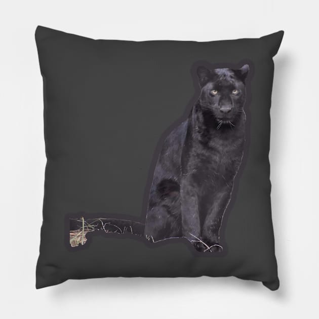 Black Leopard Pillow by Sharonzoolady