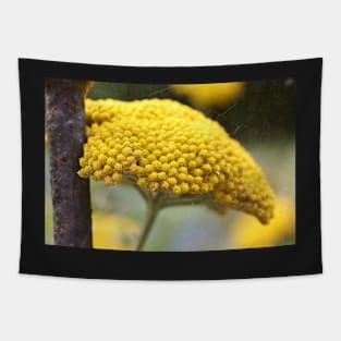 Vintage Yellow Yarrow Tapestry