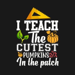 I teach the cutest pumpkins in the patch T-Shirt