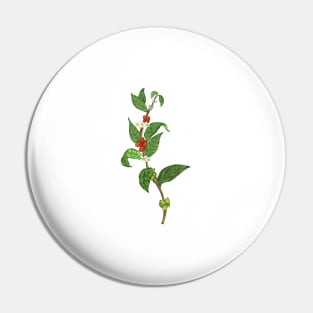 Coffe Plant Botanical Pin