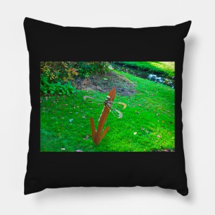 Dragon Fly in the garden in autumn Pillow