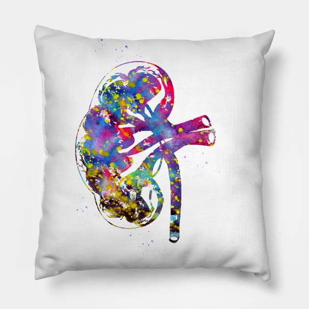 Kidney section Pillow by erzebeth