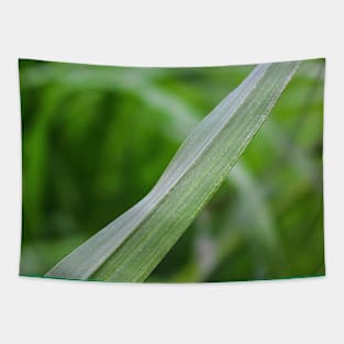 Blade of grass leaf Tapestry