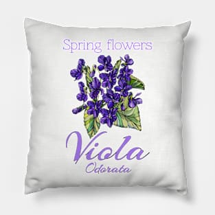 Viola-Vintage Viola -Spring Flowers Viola Odorata Pillow