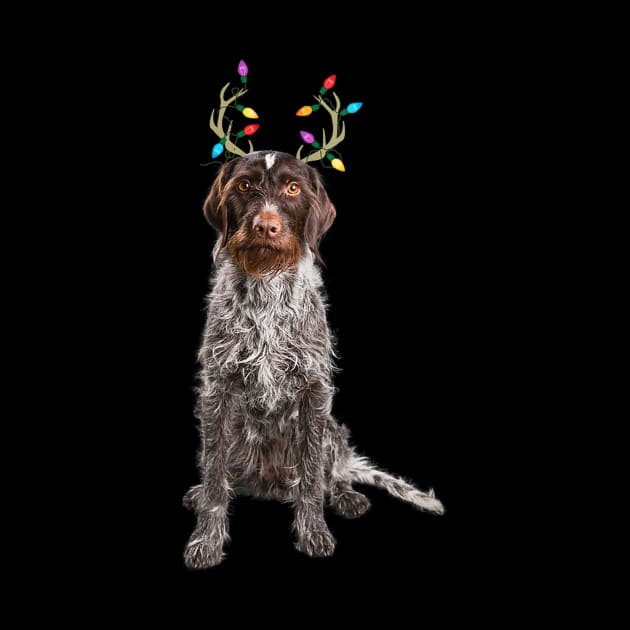 German Wirehaired Pointer Christmas Dog by bienvaem