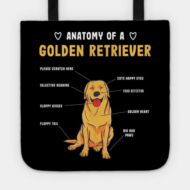 Golden Retriever Anatomy Funny Dog Gift Golden Retriever Tote Teepublic