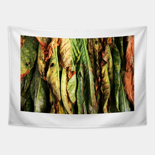 Tobacco Leaves Tapestry by tgass