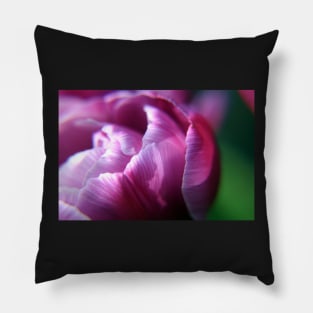 Pink Tulip flower petals Pillow