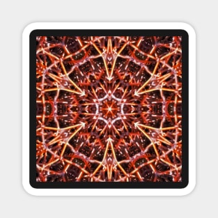 Mandala Fireworks Magnet