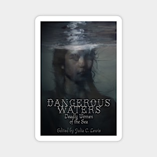 Dangerous waters Magnet