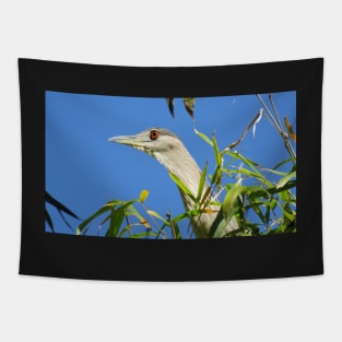 Black-crowned Night-Heron Tapestry