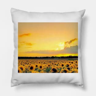 sun set Tapestry Pillow