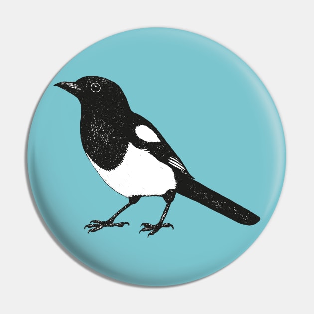 Magpie pen drawing Pin by Bwiselizzy