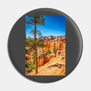 Bryce Canyon National Park Pin