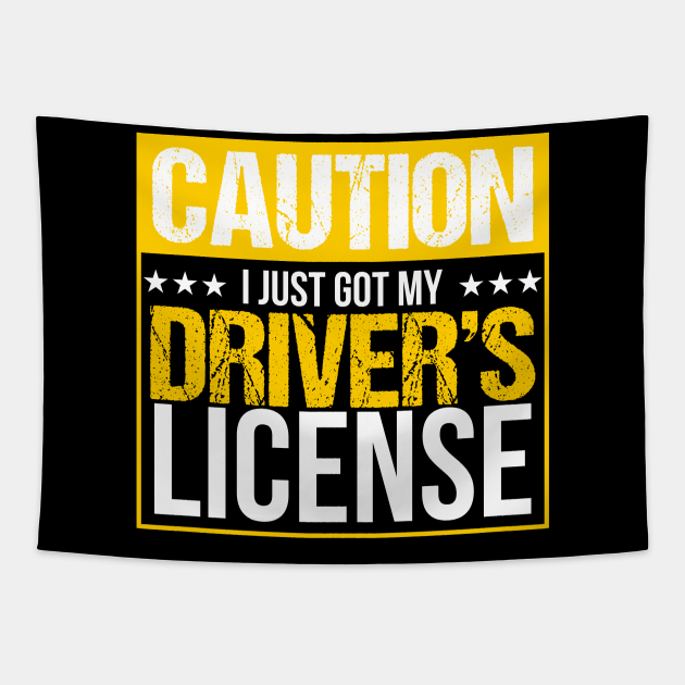 Passing Driving License gift passed driving test driver's license