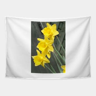 Yellow Daffodils Tapestry