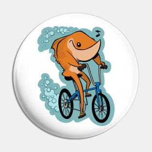 A Fish Needs a Bicycle. Pin