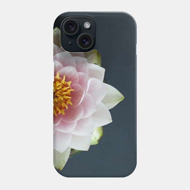 Dark Water Lily Phone Case by Elusive Edamame