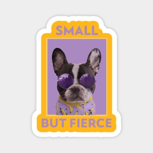 Small but Fierce Magnet