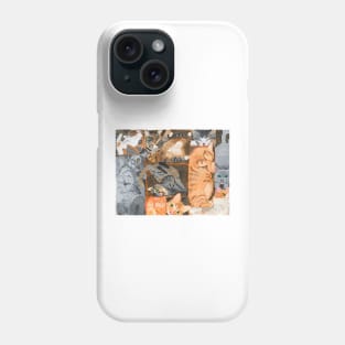 Kitty Cats in Boxes Phone Case