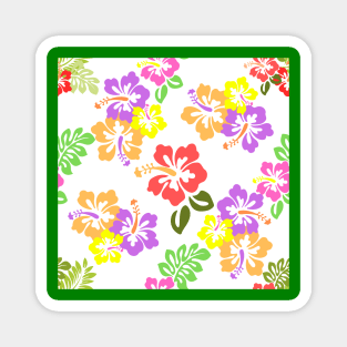 Colorful Hibiscus Flowers in White Magnet