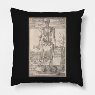 Anatomical skeleton illustration from De dissectione partium corporis humani libri tres published circa 1545 Pillow