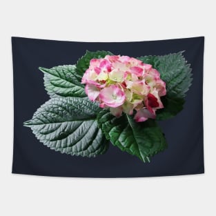 Pink and White Hydrangea Tapestry